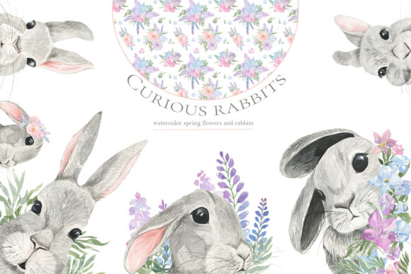Curious Rabbit. Watercolor.