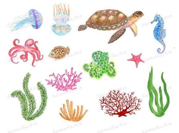 Sea Life. Set of Watercolor Sea Creature