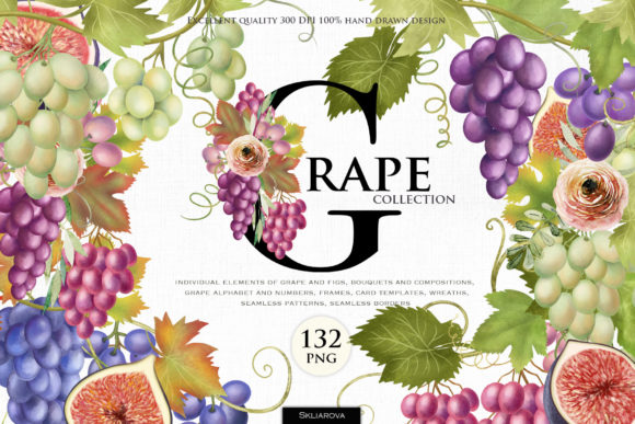 The Grape Collection: A Versatile Resource for Creative and Business Professionals